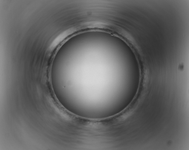 X0000116790978200912181250