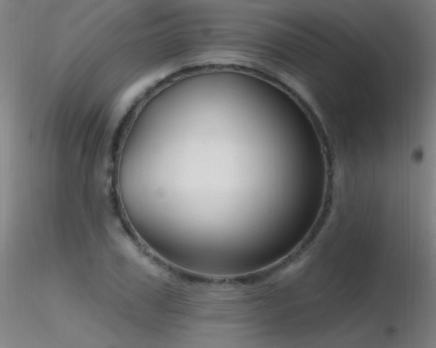 X0000116790979200912181250