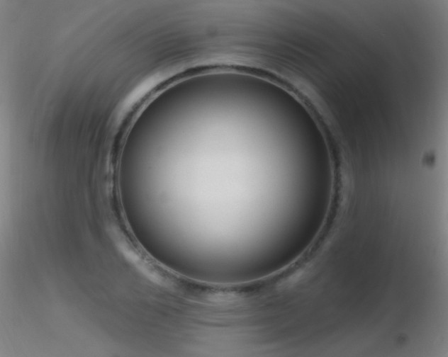 X0000116790982200912181250