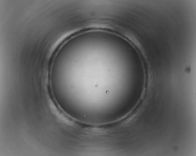 X0000116790984200912181249