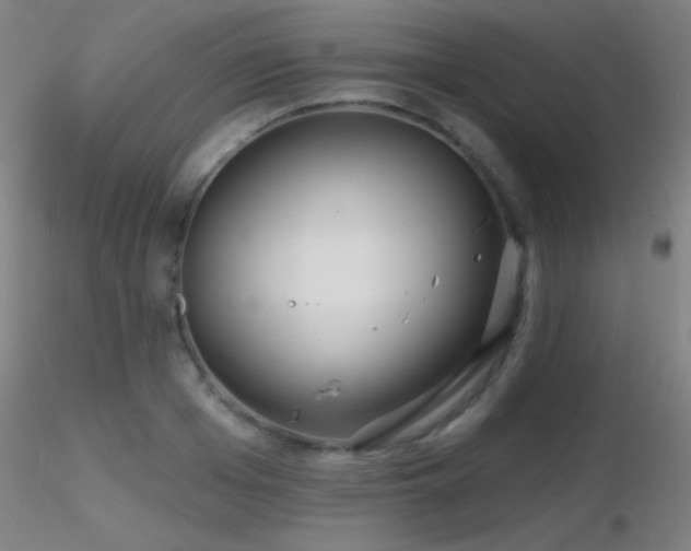 X0000116790985200912181249