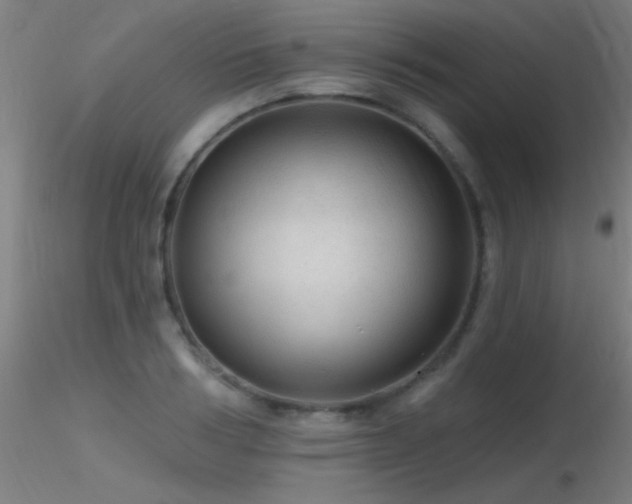 X0000116790986200912181249