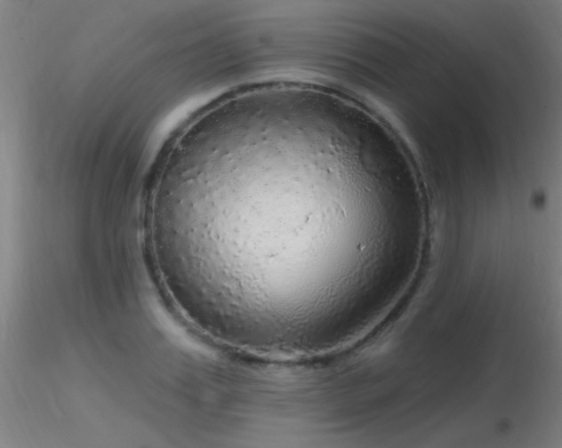 X0000116790987200912181249