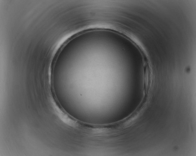 X0000116790988200912181249