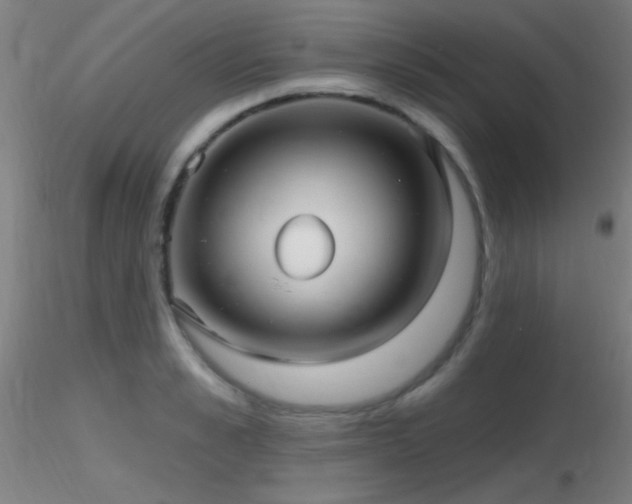 X0000116790989200912181249
