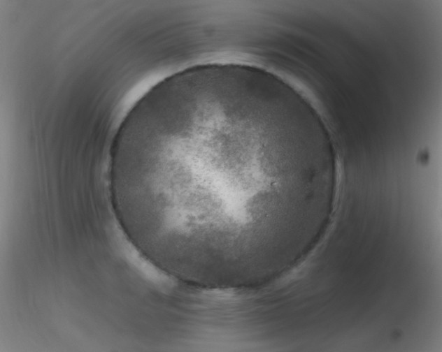 X0000116790990200912181249