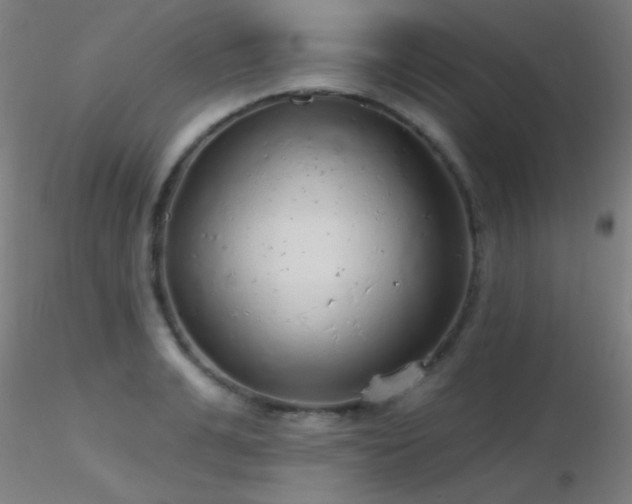 X0000116790991200912181249
