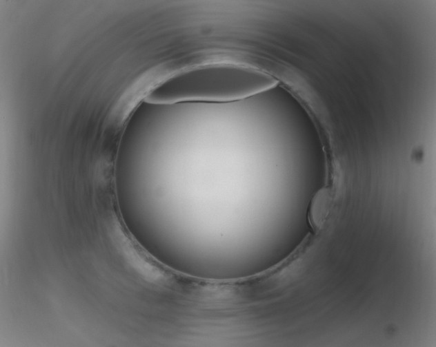 X0000116790993200912181249