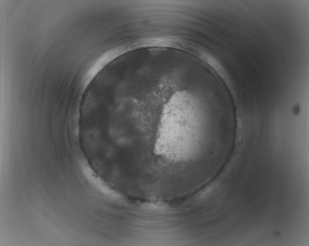X0000116790994200912181249