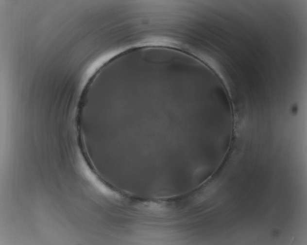 X0000116790995200912181249