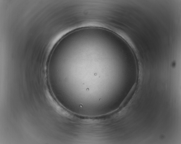 X0000116790996200912181249