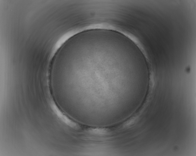 X0000116790998200912181249
