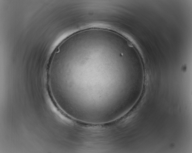 X0000116790999200912181249