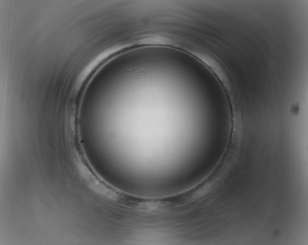 X0000116791000200912181249