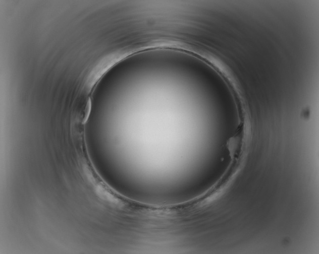X0000116791001200912181249