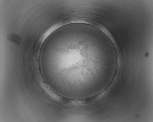 X0000116791002200912181249
