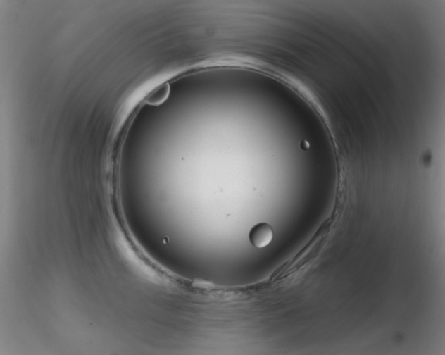 X0000116791003200912181249
