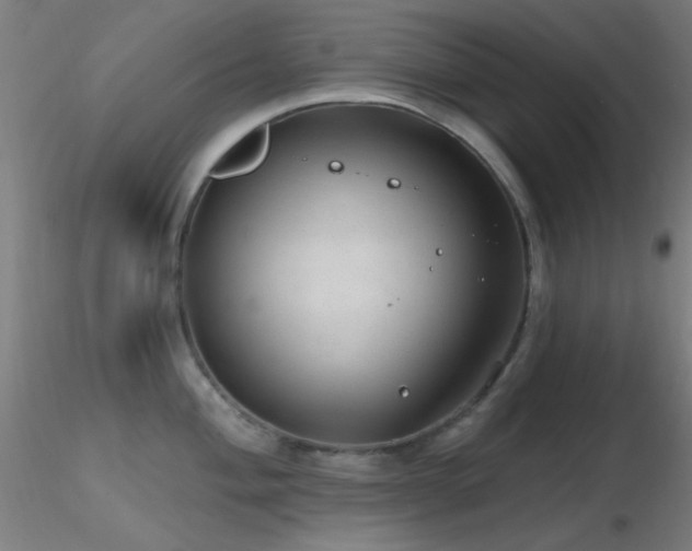 X0000116791004200912181249
