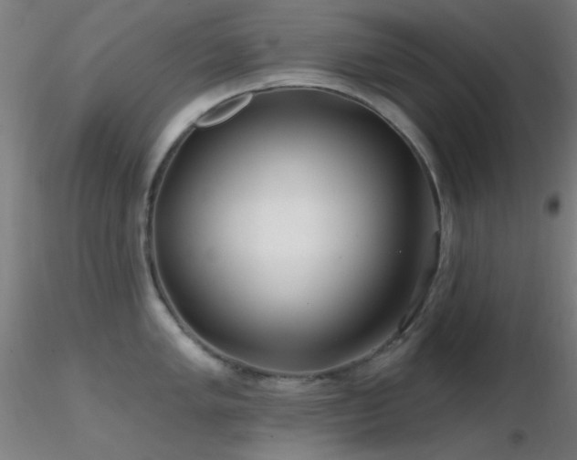 X0000116791005200912181249