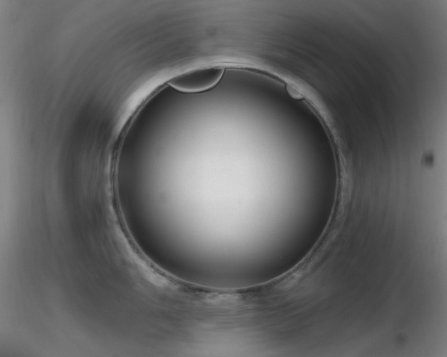 X0000116791006200912181249