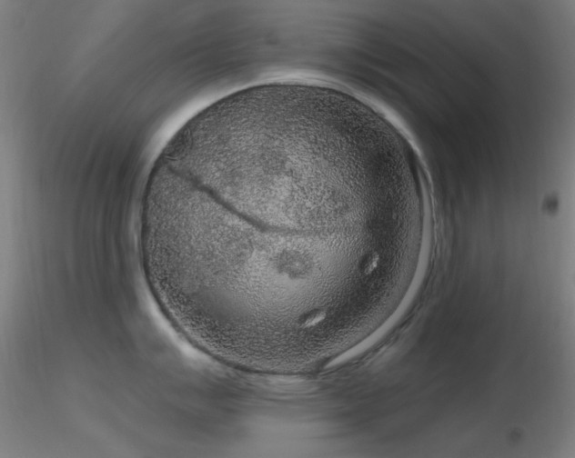 X0000116791007200912181249