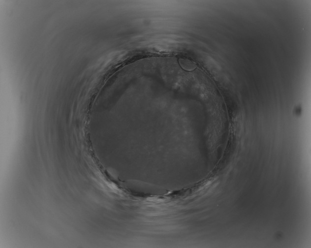 X0000116791009200912181248