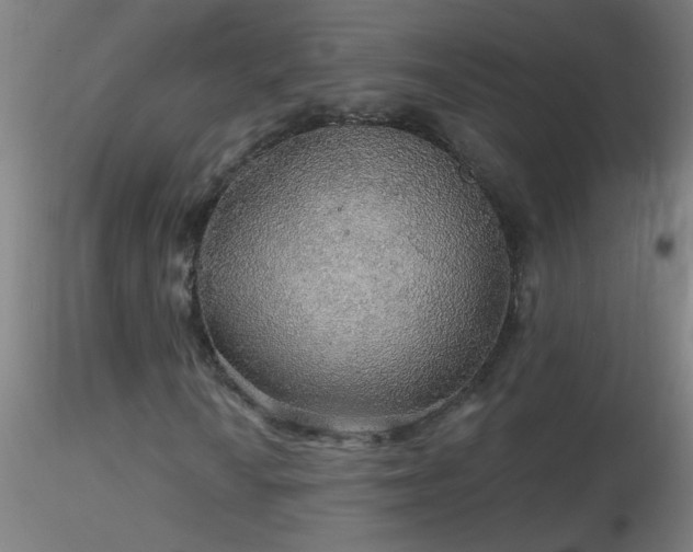 X0000116791010200912181249