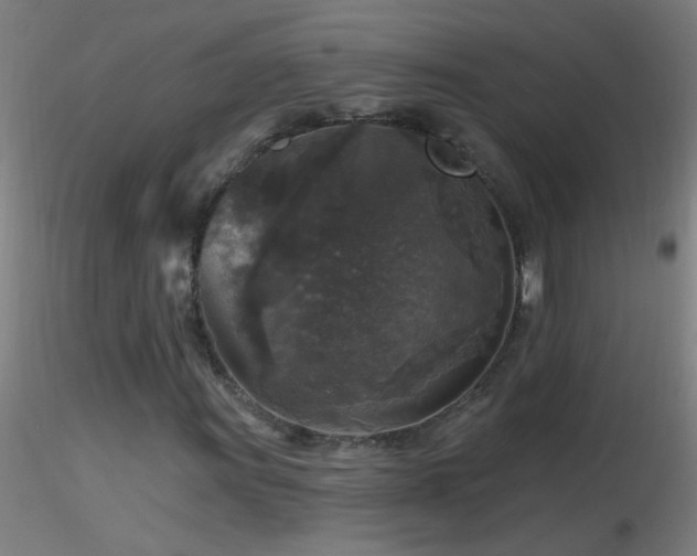 X0000116791011200912181249