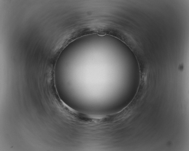 X0000116791012200912181249