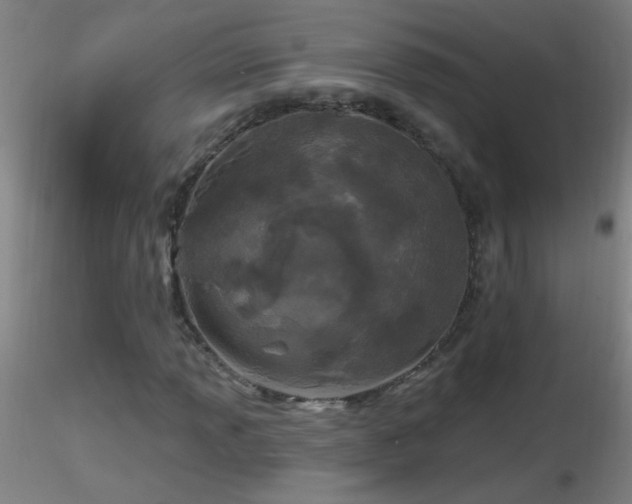 X0000116791013200912181249