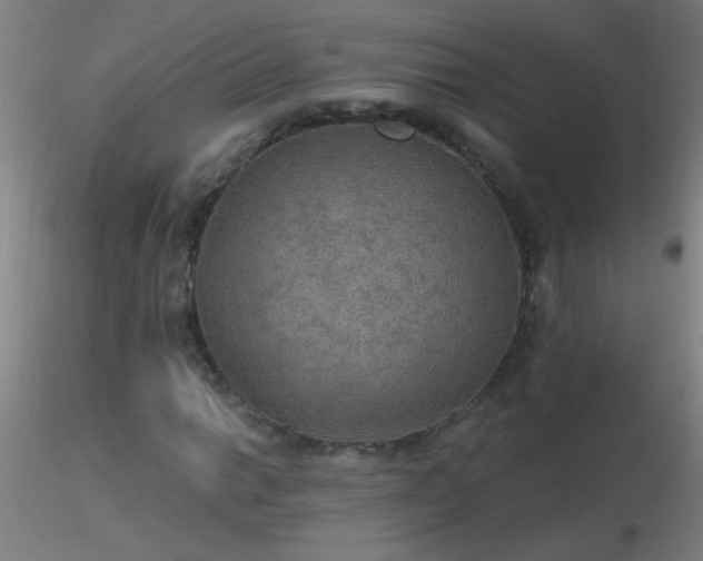 X0000116791014200912181249