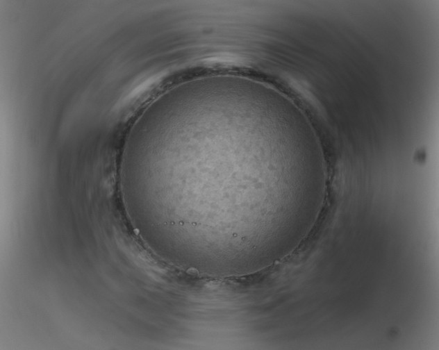 X0000116791015200912181249