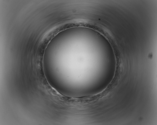 X0000116791016200912181249