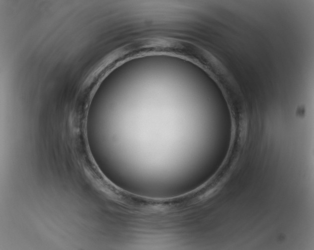 X0000116791017200912181249