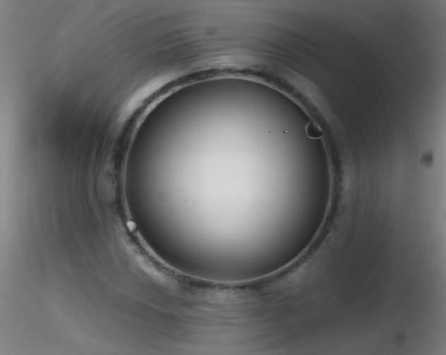 X0000116791018200912181249