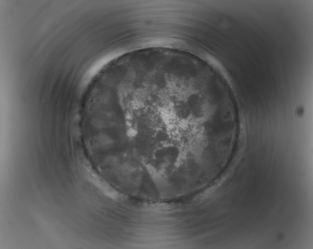 X0000116791019200912181249