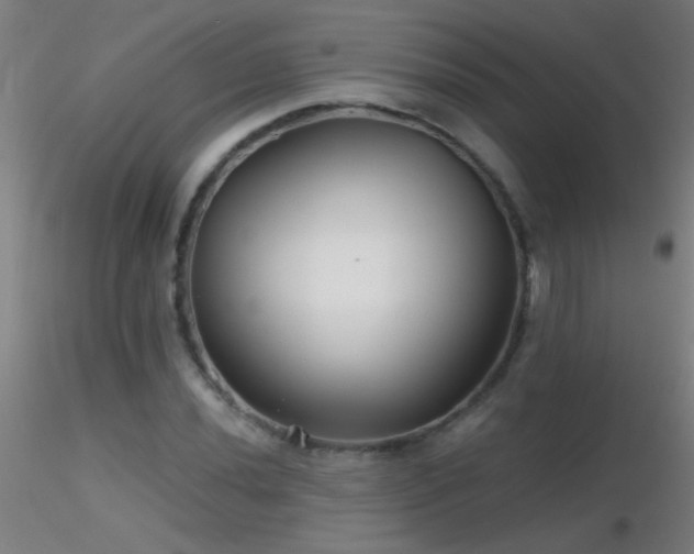 X0000116791020200912181249