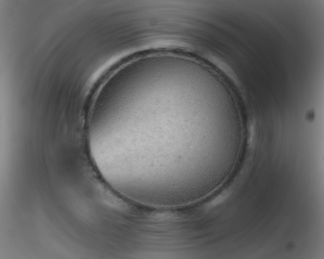 X0000116791021200912181249