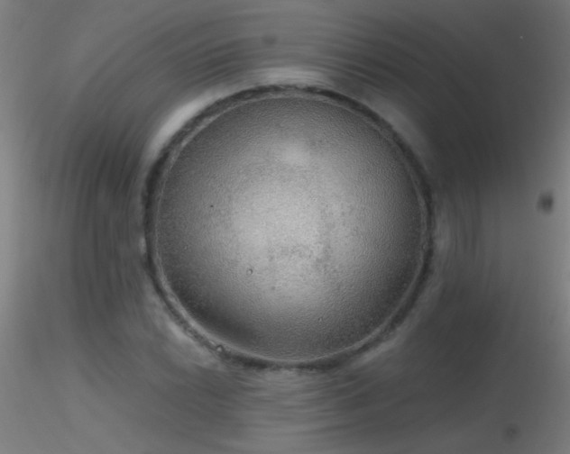 X0000116791022200912181249