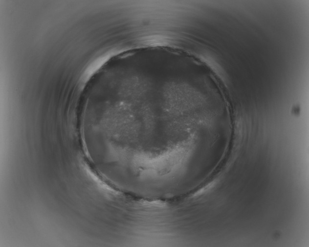 X0000116791023200912181249
