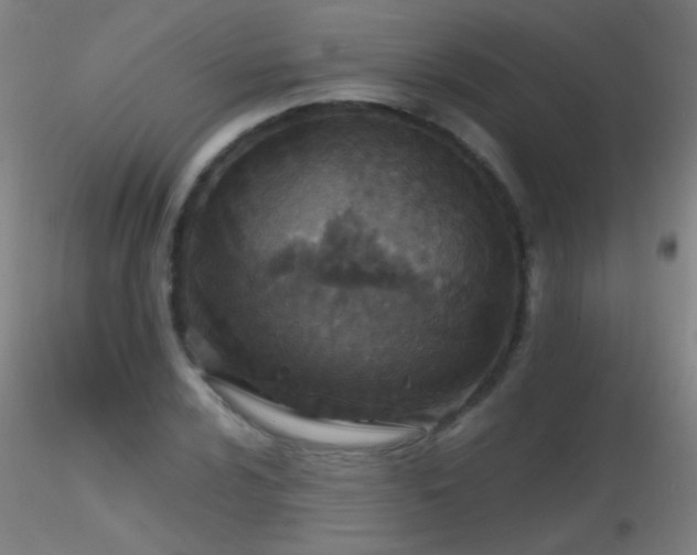 X0000116791024200912181249