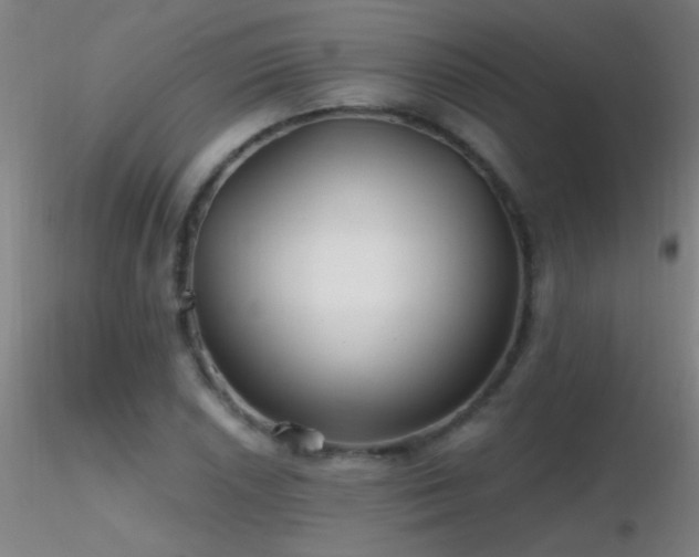 X0000116791026200912181249