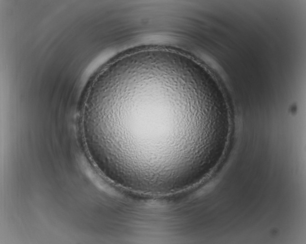 X0000116791029200912181249