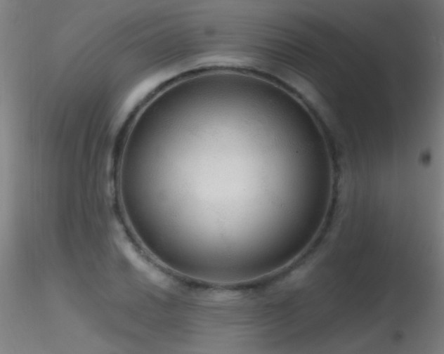 X0000116791030200912181249