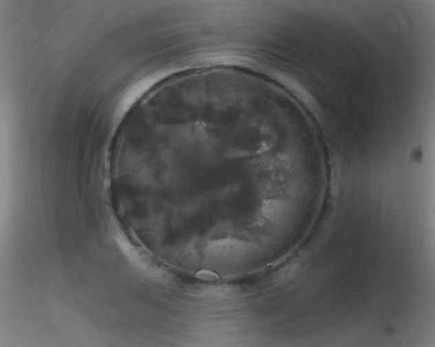 X0000116791031200912181249