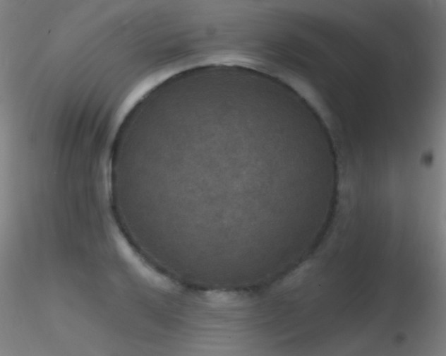 X0000116791032200912181249
