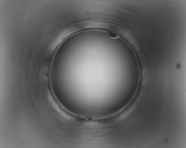 X0000116791033200912181249