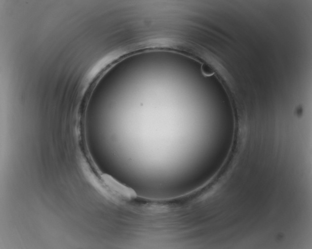 X0000116791034200912181249