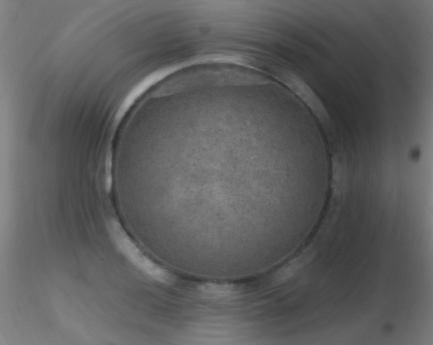 X0000116791036200912181249