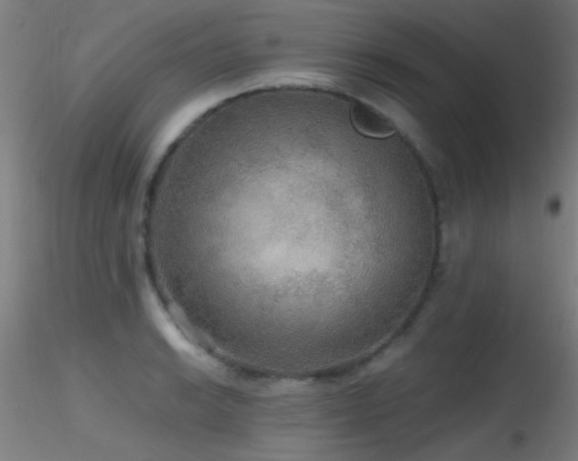 X0000116791038200912181249
